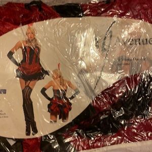 Burlesque dancer costume